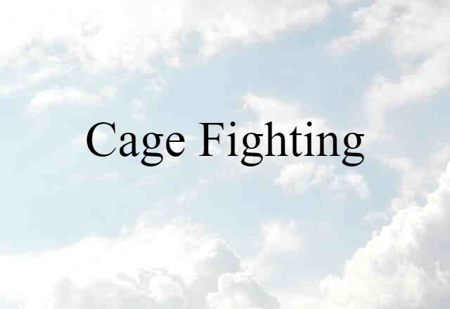 Cage Fighting (noun) Definition, Meaning & Examples