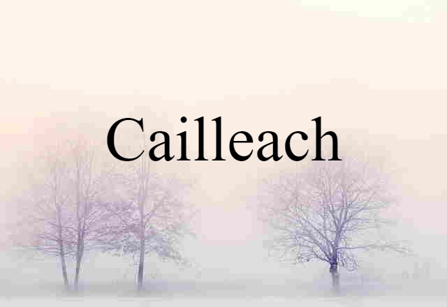 Cailleach (noun) Definition, Meaning & Examples