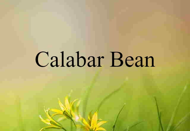 Calabar bean