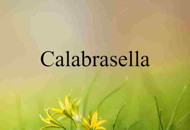 calabrasella