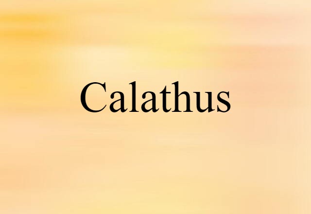 Calathus (noun) Definition, Meaning & Examples