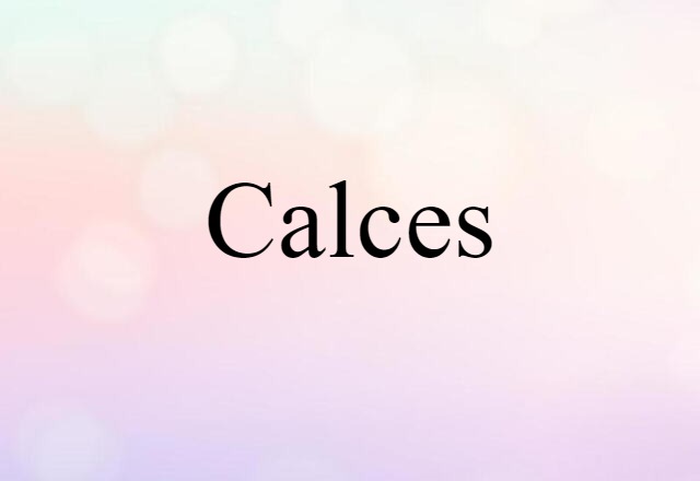 Calces (noun) Definition, Meaning & Examples