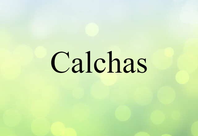 Calchas (noun) Definition, Meaning & Examples