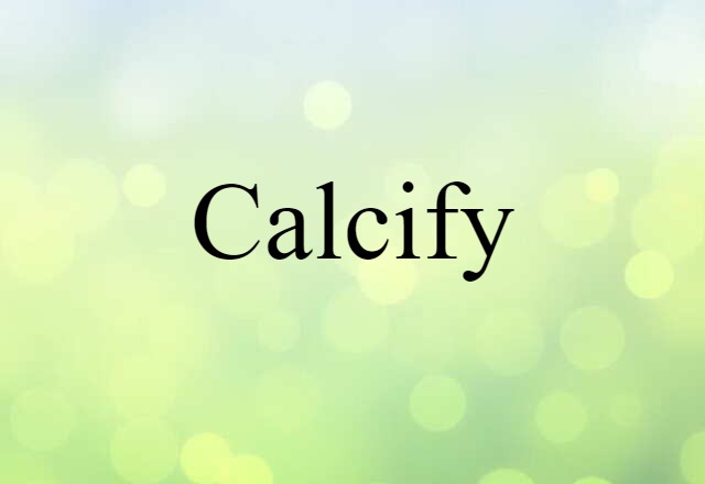 Calcify (noun) Definition, Meaning & Examples