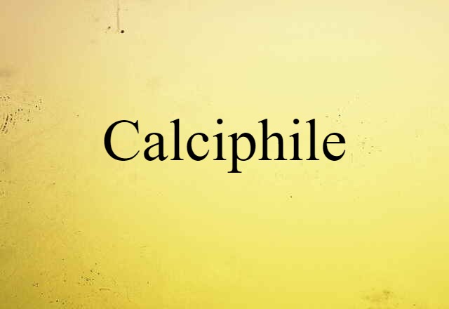 Calciphile (noun) Definition, Meaning & Examples