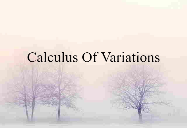 Calculus Of Variations (noun) Definition, Meaning & Examples