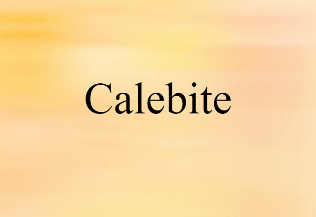 Calebite (noun) Definition, Meaning & Examples