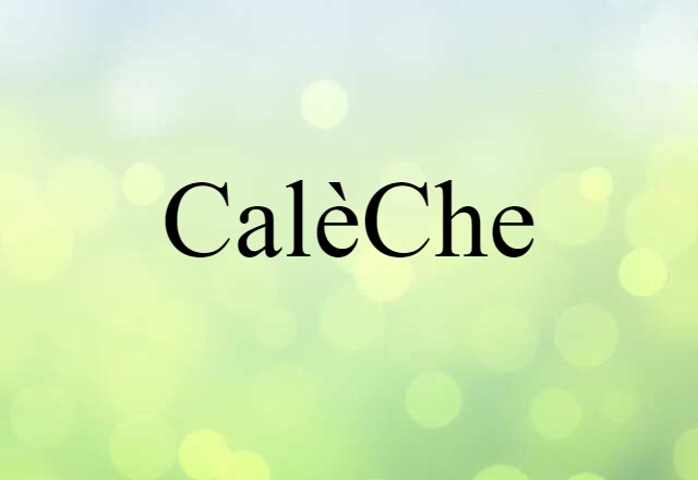 Calèche (noun) Definition, Meaning & Examples