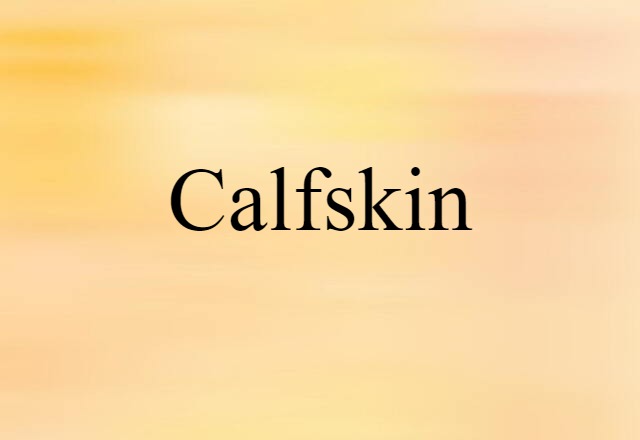 Calfskin (noun) Definition, Meaning & Examples