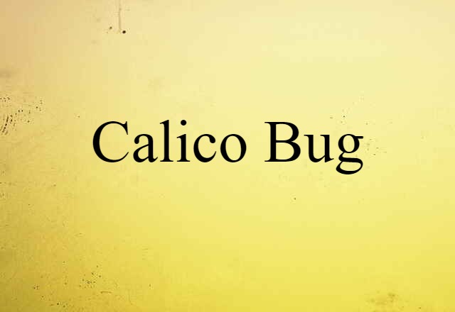 calico bug