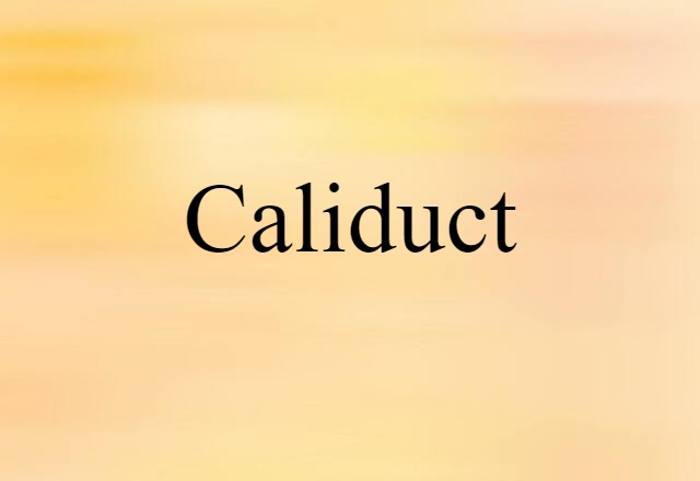 Caliduct (noun) Definition, Meaning & Examples