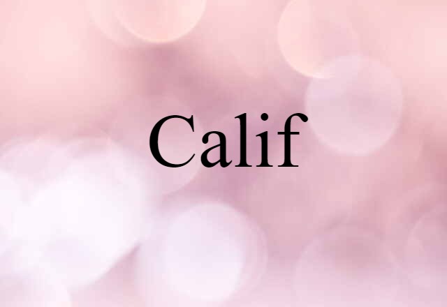 Calif (noun) Definition, Meaning & Examples