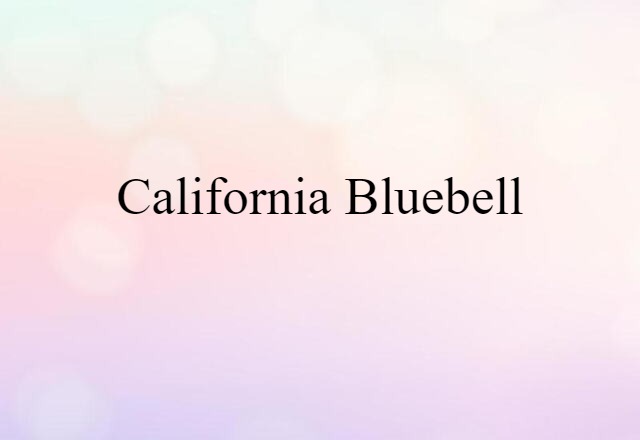 California Bluebell (noun) Definition, Meaning & Examples