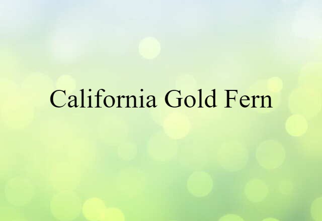 California Gold Fern (noun) Definition, Meaning & Examples