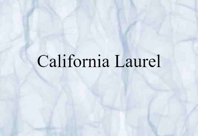 California laurel