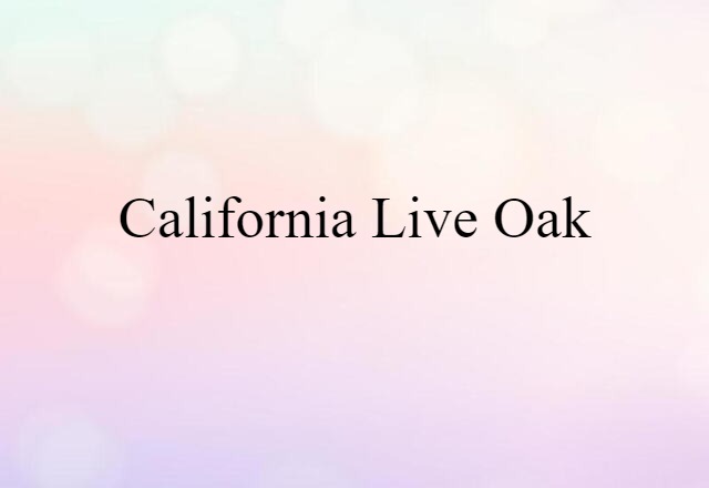 California live oak