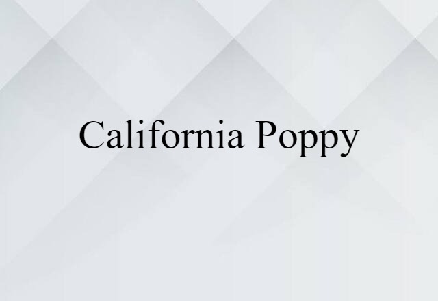 California poppy