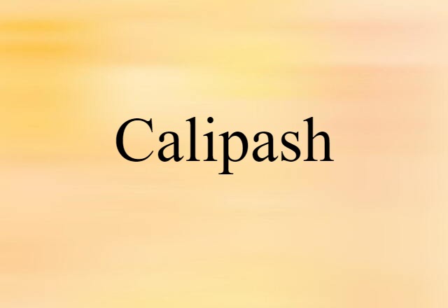 Calipash (noun) Definition, Meaning & Examples