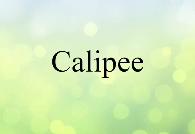 Calipee (noun) Definition, Meaning & Examples