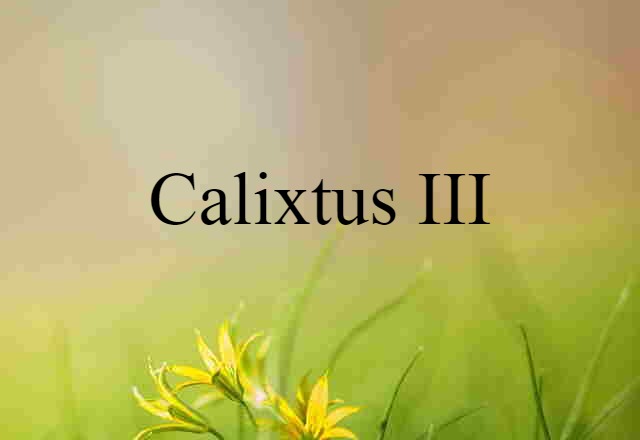 Calixtus III (noun) Definition, Meaning & Examples