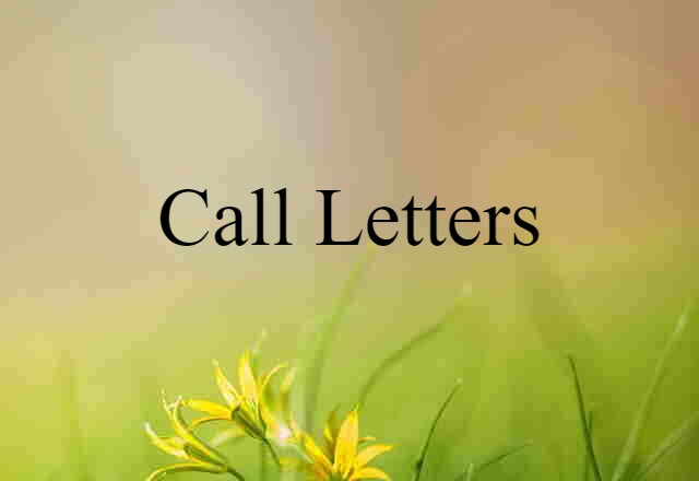 Call Letters (noun) Definition, Meaning & Examples