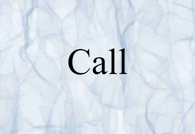 Call (noun) Definition, Meaning & Examples