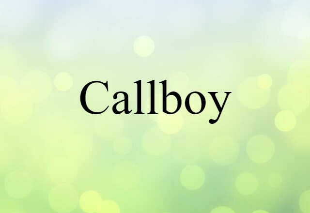 Callboy (noun) Definition, Meaning & Examples