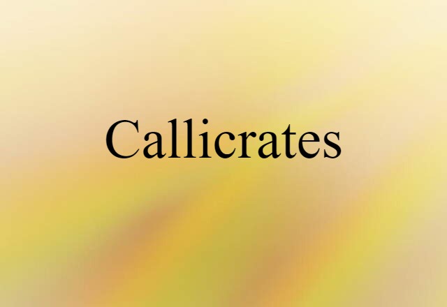 Callicrates (noun) Definition, Meaning & Examples