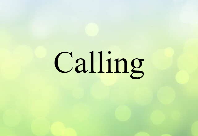 Calling (noun) Definition, Meaning & Examples