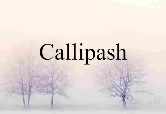 callipash