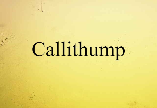 callithump