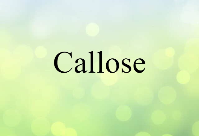 Callose (noun) Definition, Meaning & Examples