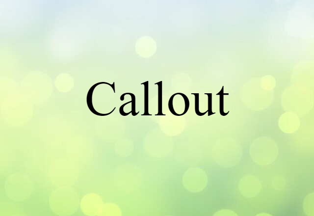 Callout (noun) Definition, Meaning & Examples