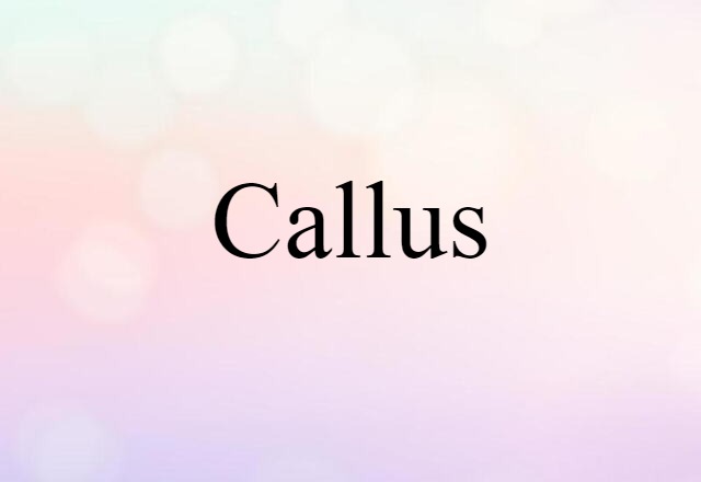 callus