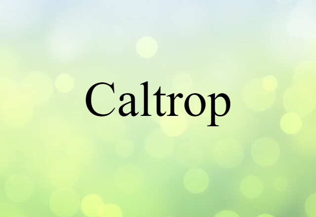 Caltrop (noun) Definition, Meaning & Examples