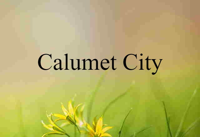 Calumet City (noun) Definition, Meaning & Examples