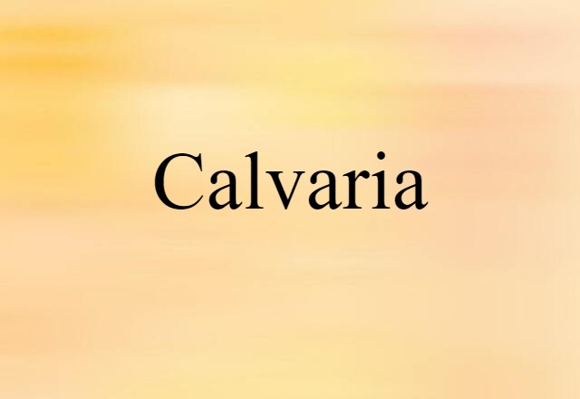 calvaria