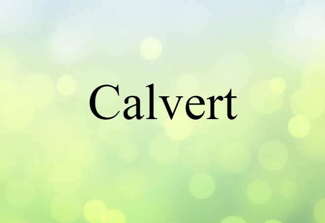 Calvert (noun) Definition, Meaning & Examples