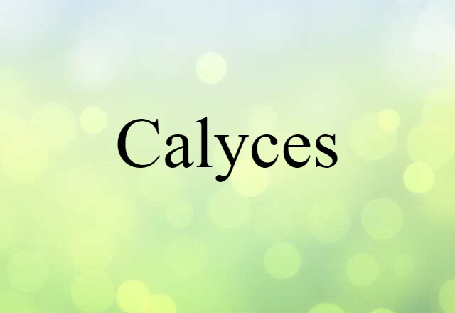 calyces