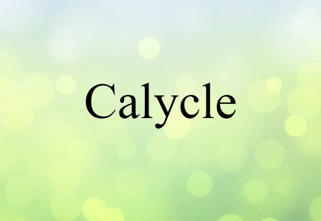 calycle