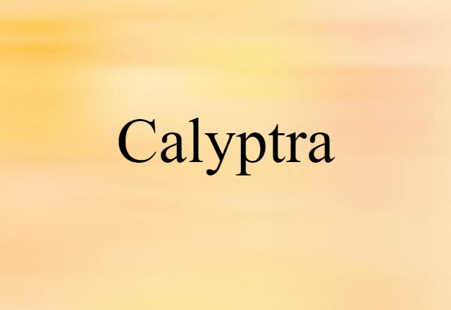 calyptra