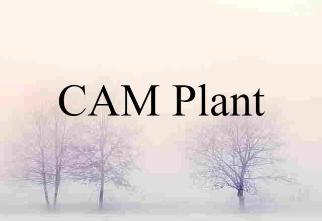 CAM Plant (noun) Definition, Meaning & Examples