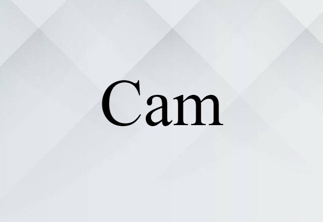 Cam (noun) Definition, Meaning & Examples