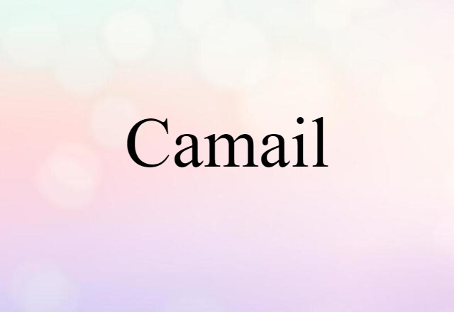 Camail (noun) Definition, Meaning & Examples