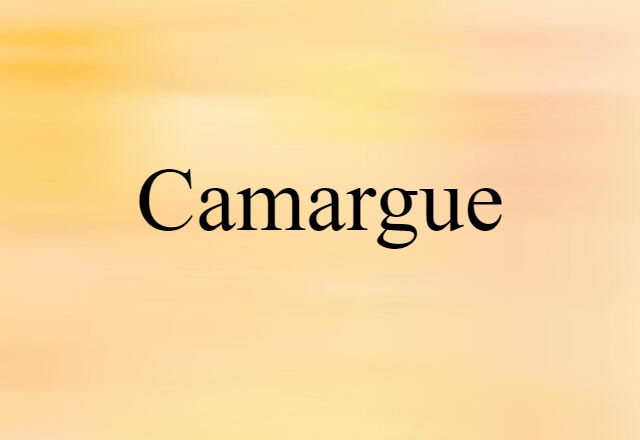 Camargue (noun) Definition, Meaning & Examples