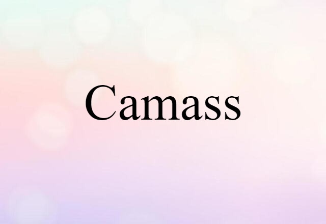 Camass (noun) Definition, Meaning & Examples