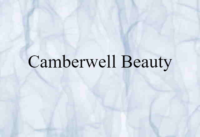 Camberwell beauty