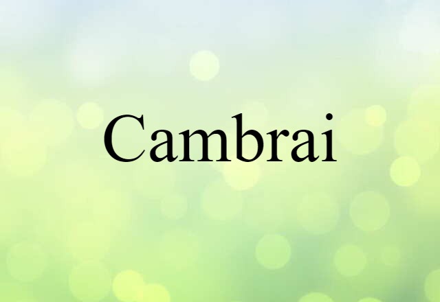 Cambrai (noun) Definition, Meaning & Examples