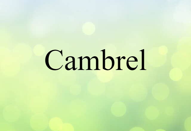 Cambrel (noun) Definition, Meaning & Examples