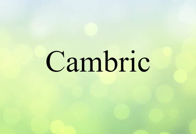 Cambric (noun) Definition, Meaning & Examples